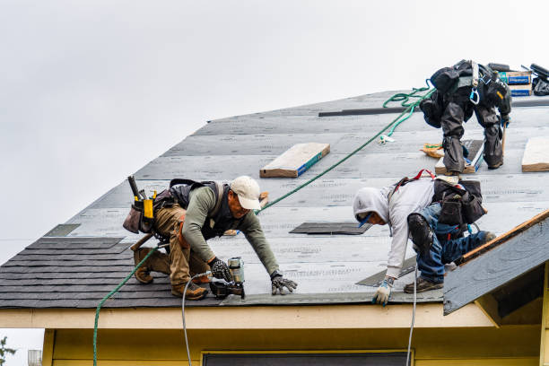 Professional Roofing technician working in Campus, IL